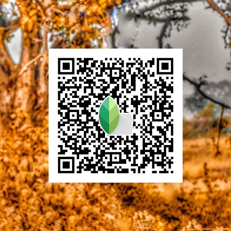 snapseed qr code photo editing 2024